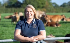 Passion for Jerseys leads to success for young farmer