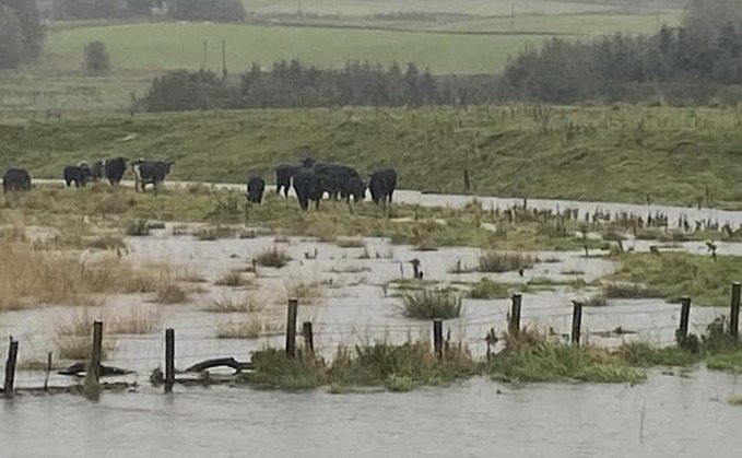 Carol McLaren, chief executive of RSABI, said the charity had received reports from farmers regarding damage to property, vehicles and fencing in one of the ‘greatest sustained periods of heavy rain’ the country had seen in decades (RSABI)