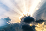 EM equities shine again