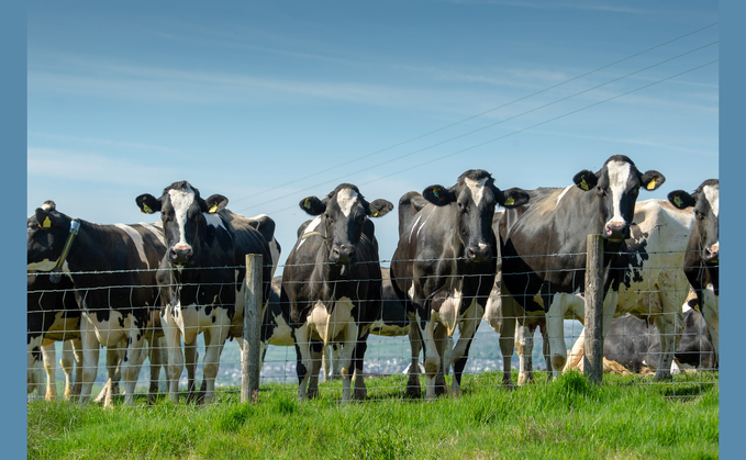 Distressing anti-dairy cinema advert banned
