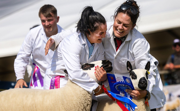 Building Hassockrigg: Sophie McCarlie's journey from first gimmers to Highland Show glory