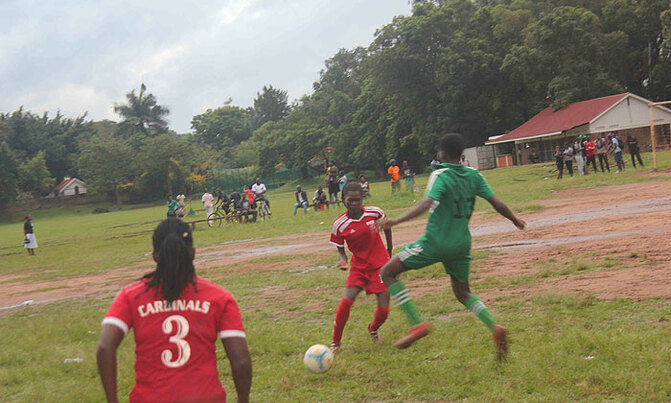 Women's football: UCU Cardinals hit seven past London Stallion Women's football: UCU Cardinals hit seven past London Stallion