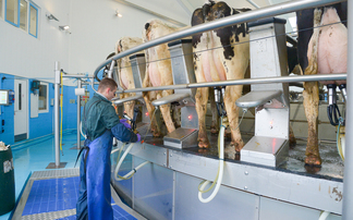 Introducing the finalists for the British Farming Awards Farm Worker of the Year 2025 