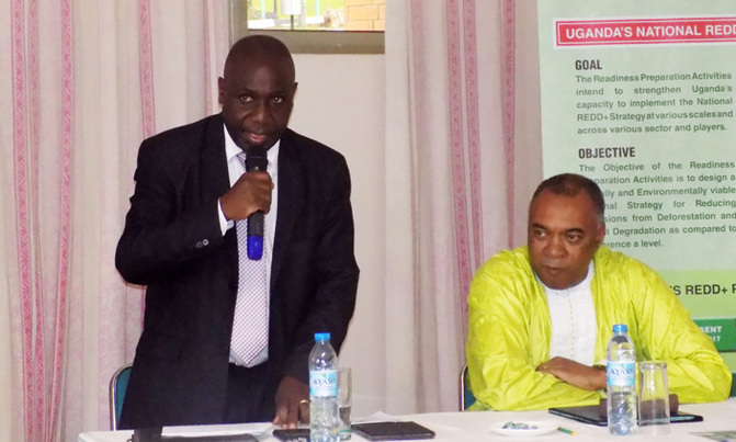 Uganda targets to restore forest cover from 15% to 24% by 2040 Uganda targets to restore forest cover from 15% to 24% by 2040