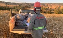 Exploração da Appia no projeto de terras raras Cachoeirinha Goiás