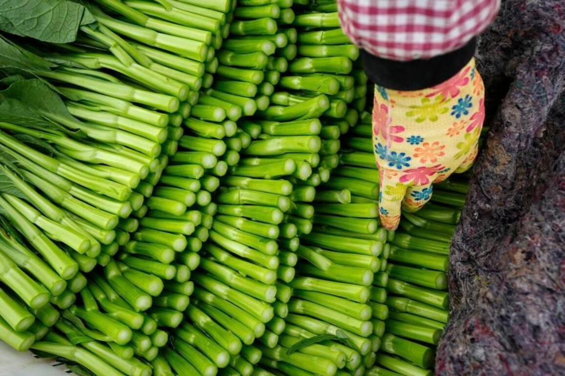 China's fresh produce finds favor in Central Asian market