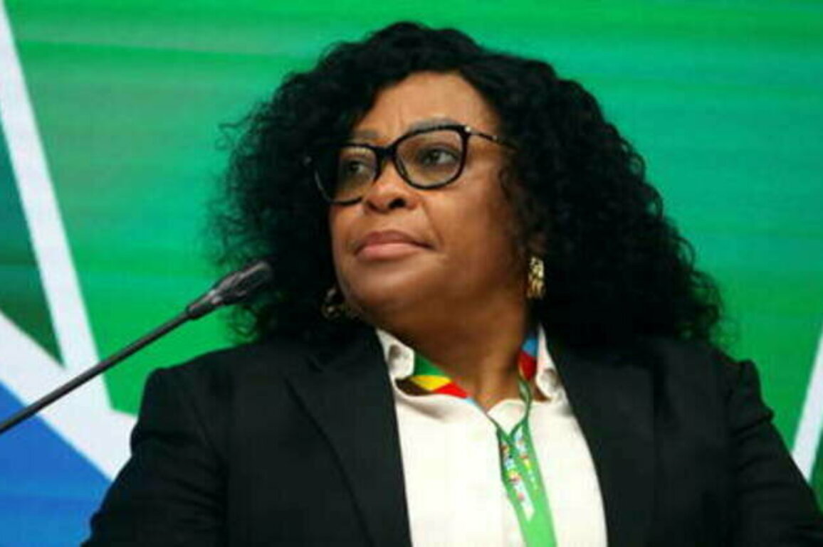 Senior official issues warning over South African coalition government