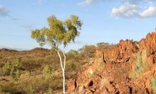  Jervois is 300km from Alice Springs