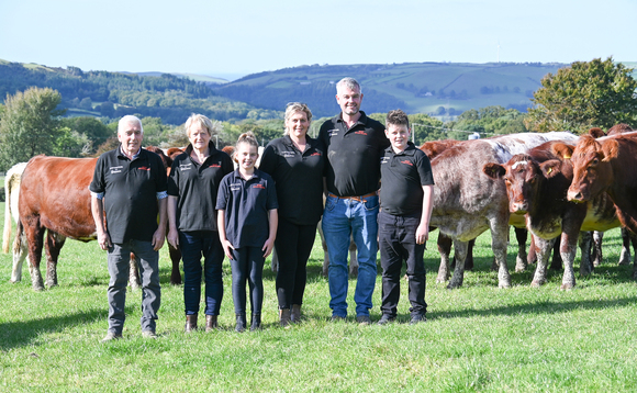 Three generations drive pedigree Beef Shorthorn success in Ceredigion   