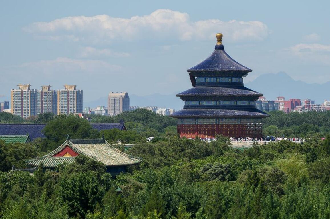 Young birders flock to Beijing's Central Axis for glimpse of urban wings