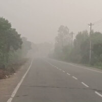 Tamil Nadu: Motorists battle near zero visibility in Chengalpattu due to thick fog