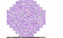 A microlite image from the automated mineralogy analysis stage of the geological passport system