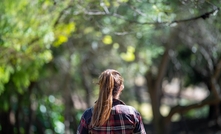 Some farmers will consider walking off the job if they can't access to overseas workers is reduced, a new survey has found. Credit: William Edge, Shutterstock.