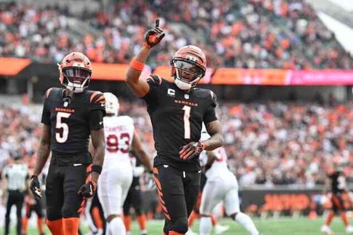 Bengals Offer A 2026 Blueprint In Brisk Dismissal Of Cardinals