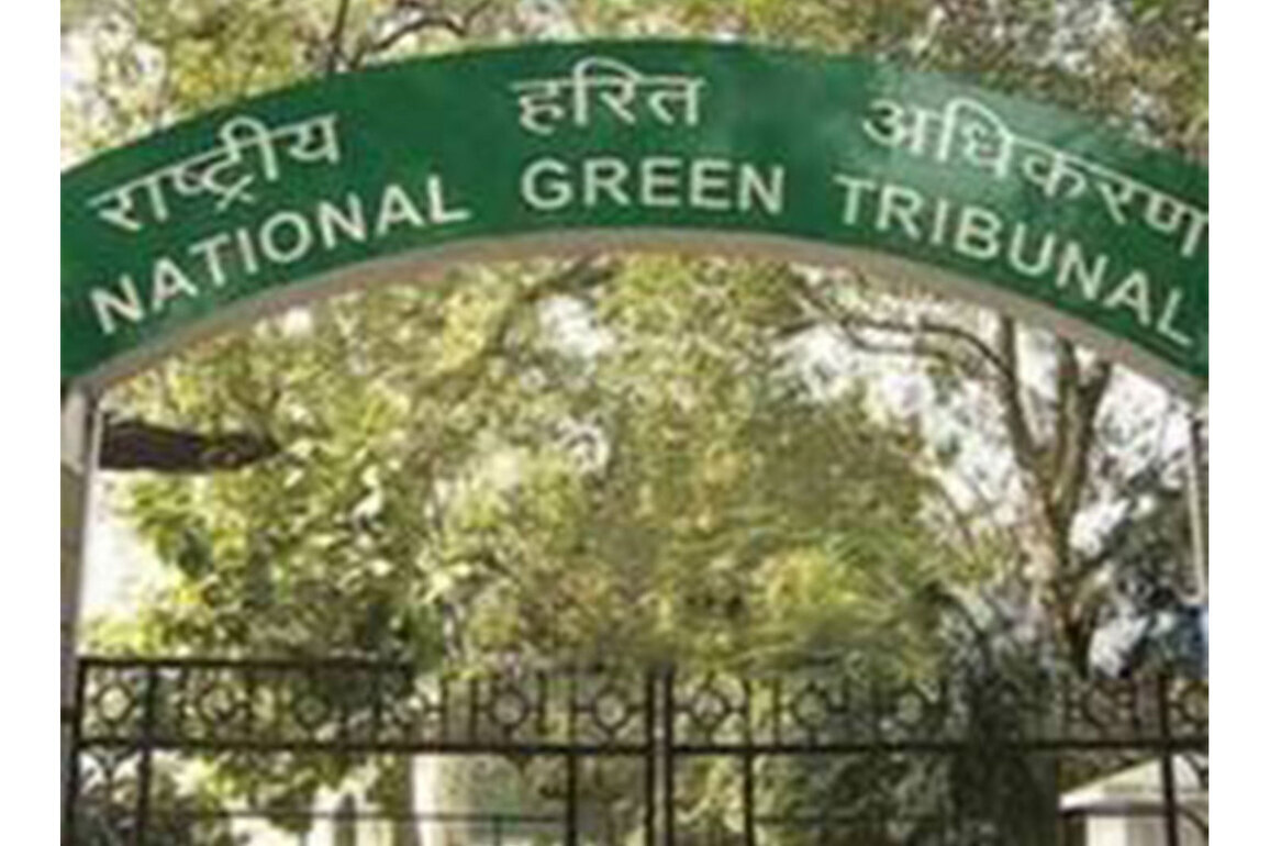 NGT examines plastic pollution from bottle caps, seeks responses from authorities