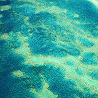 Half a century ago, the Great Barrier Reef was to be drilled for oil. It was saved - for a time