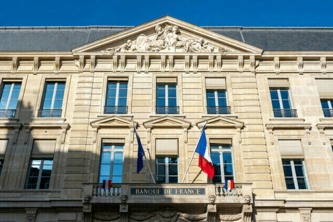 France headed for black hole  financial expert