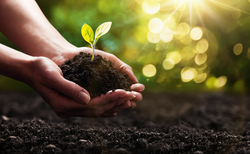Explainer: How do carbon credits work?