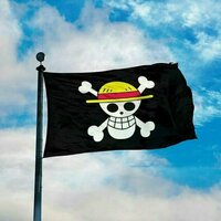 Pelarangan bendera One Piece: Negara makin paranoid, demokrasi makin sempit