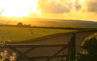 OPINION: Designing the perfect farmyard - easier said than done!