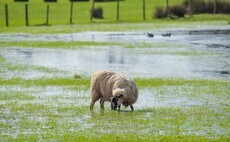 Predicted flash floods likely to cause major problems on farm 