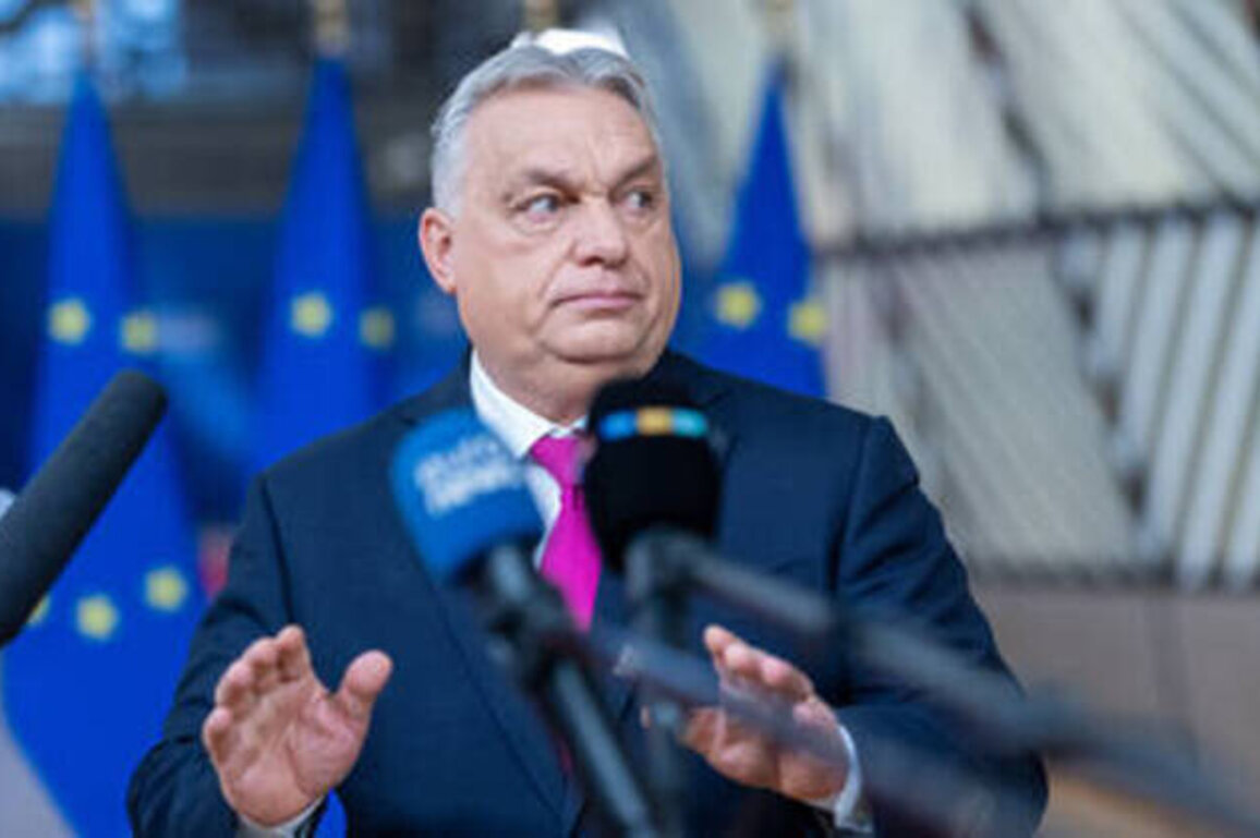 EU loan to Ukraine pushing bloc 'into war' with Russia - Orban