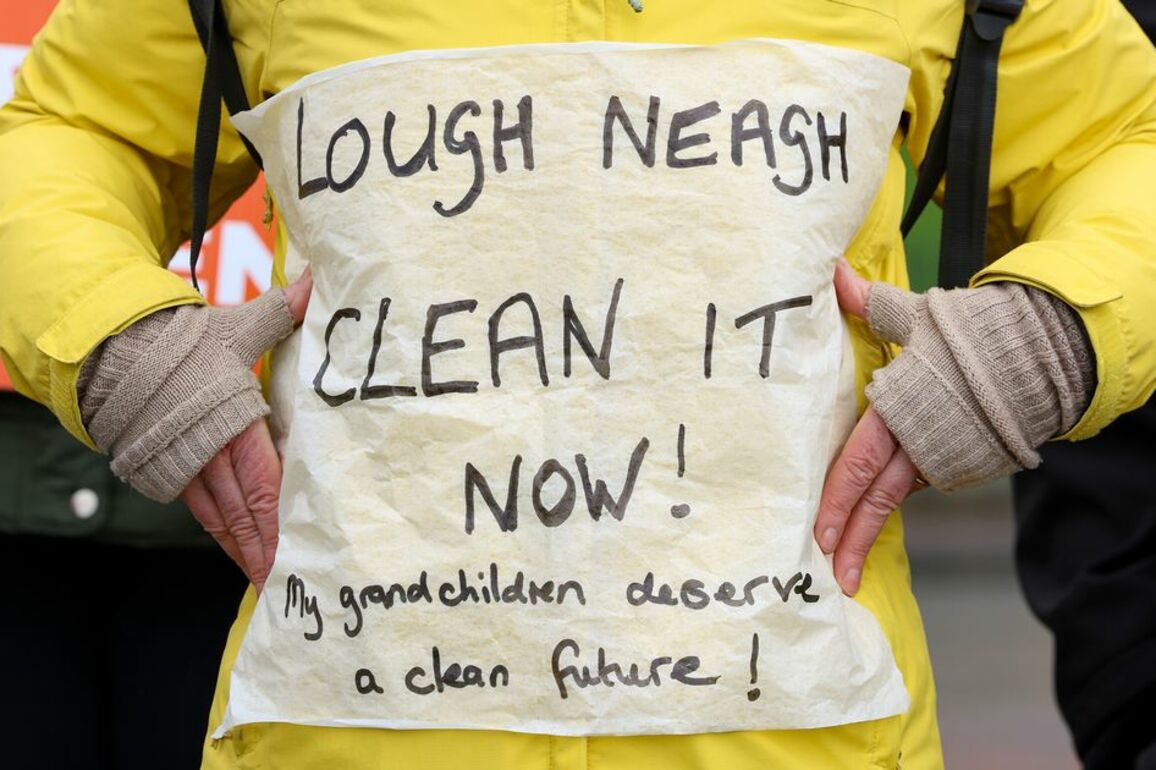 Lough Neagh crisis will become common experience without action, MLAs warned