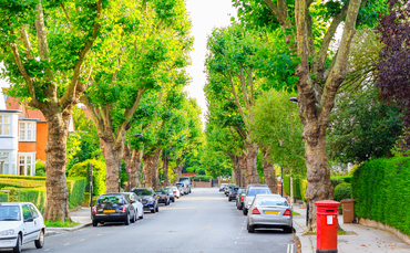 From quieter streets to flood resilience: How trees deliver
a £3.8bn economic boost to the UK