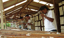 Projeto de ouro Tocantinzinho, da G Mining Ventures,no Pará/Divulgação.