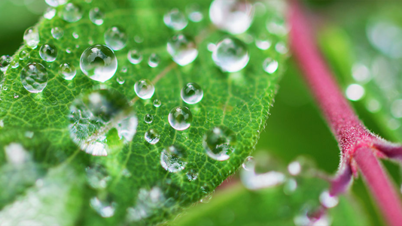 Sustainability in practice: The journey to Net Zero