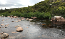  Matador in Newfoundland