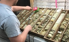 Core samples from Rhyolite Ridge