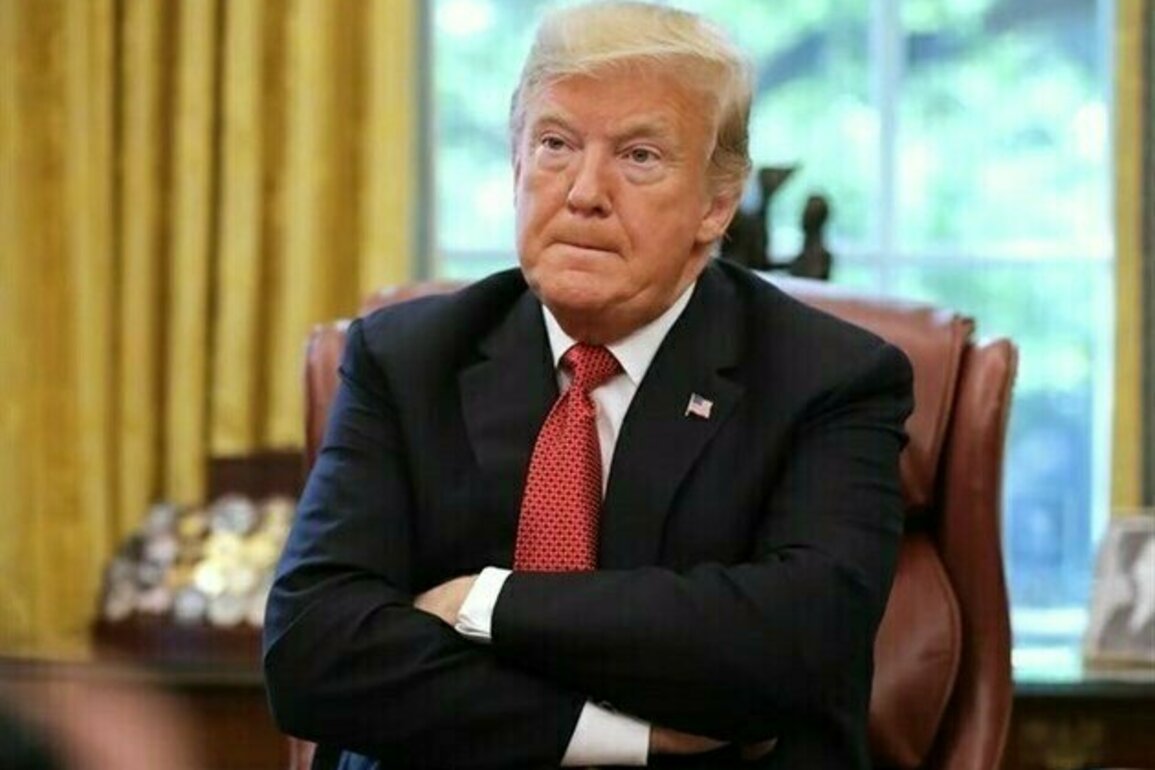 Trumps Says He Proposed Sending US Troops to Mexico