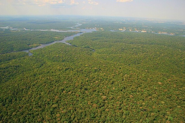 Brazilian soy farms expand into Amazon despite 2008 deforestation pact