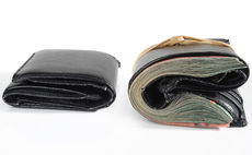 Widening gulf between the haves and the have-nots