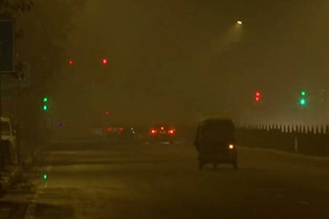 Delhi: Dense fog grips city after Friday's heavy rain; air quality sees temporary relief