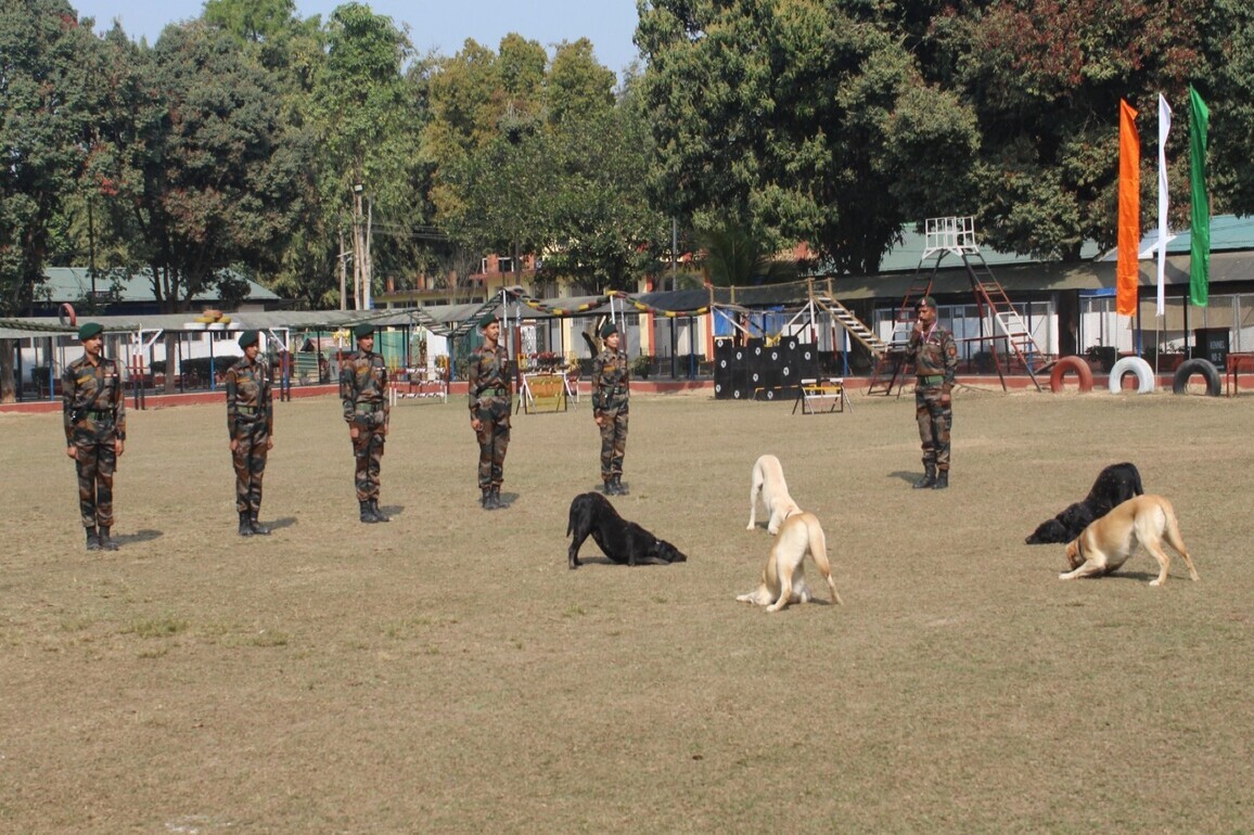 Assam Rifles showcases prowess of its canines to officials at Jorhat