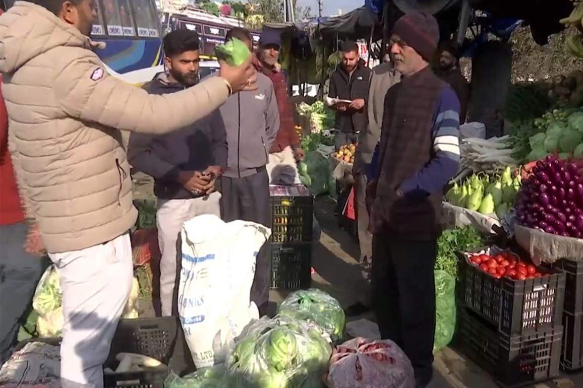 J-K: Sunderbani undergoes organic agricultural transformation