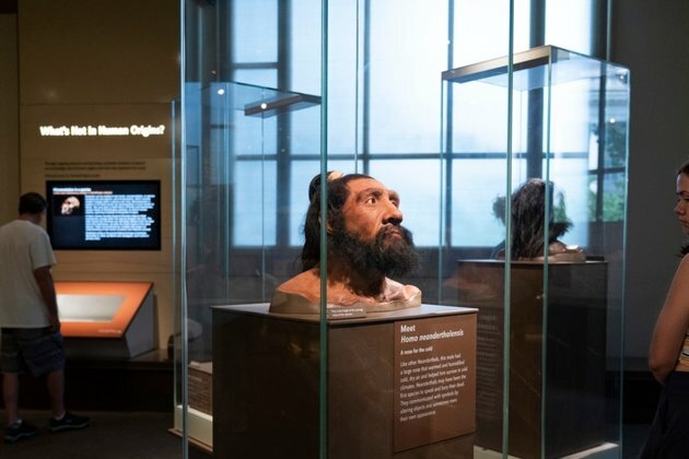 Science Revealing Genetic Legacy of Human&#039;s Cousins Like Neanderthals