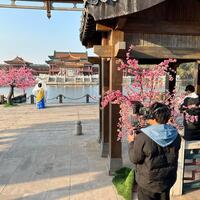AI's growing role in storytelling, from script to screen