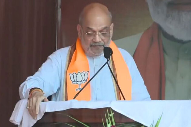 "Petrol, diesel prices increased in Pakistan, not India": Amit Shah takes jibe at Rahul Gandhi's rising prices remarks