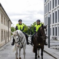 Police officer in Ireland alleges senior bullied her after son’s death