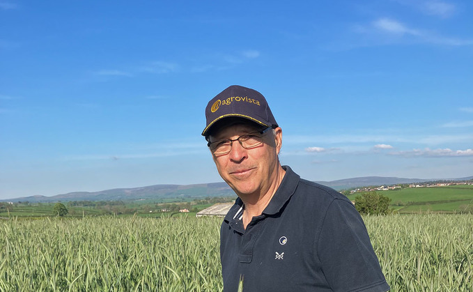 Crop walk with Simon Nelson - 'Making the best of benign conditions'