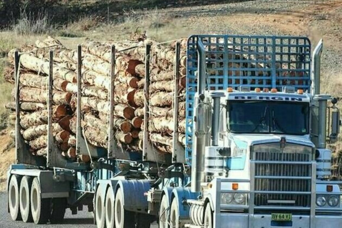 High Court logging appeal decision may be a game changer
