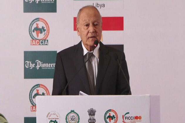 Arab League chief warns war with Iran would be 'disaster for world peace'