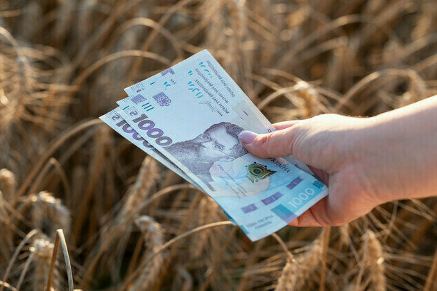 IMF pushes Kiev to weaken currency  Bloomberg