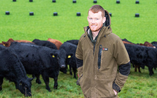 Scottish upland farm embraces outwintering on deferred hill grazing