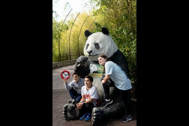 Farewell for giant pandas brings warmth to Washington&#039;s autumn chill