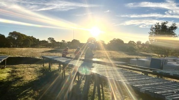 Recent drilling at Hillgrove