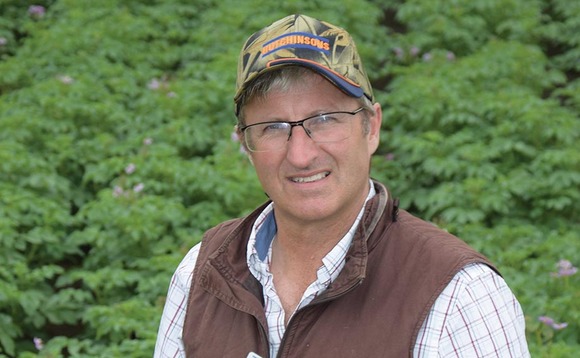 Talking roots with Darryl Shailes: The frost has hit several crops very hard